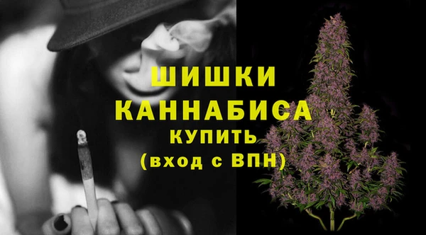 дживик Горнозаводск