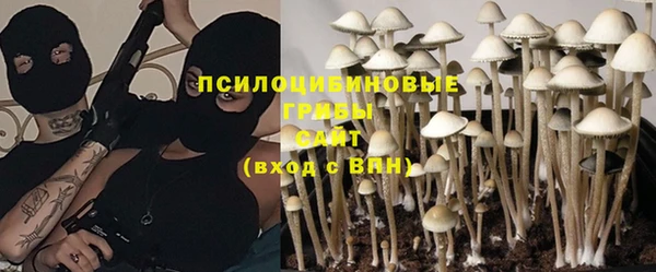 СК Горняк